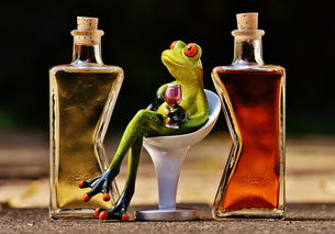 青蛙,小鸡,饮料,瓶,酒精,数字,喝,受益,可爱,甜,乐趣,搞笑,鸡尾酒,酒,舒适感
